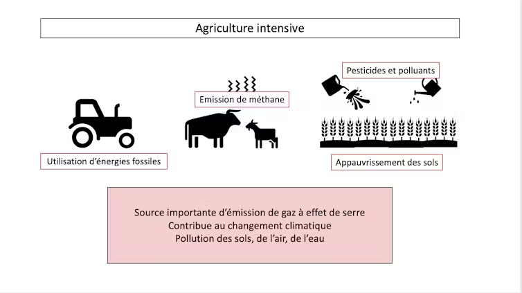 Une figure représentant une pyramide montre en haut les aliments à réduire et, en bas, ceux à privilégier ainsi que les effets de ces aliments sur la santé